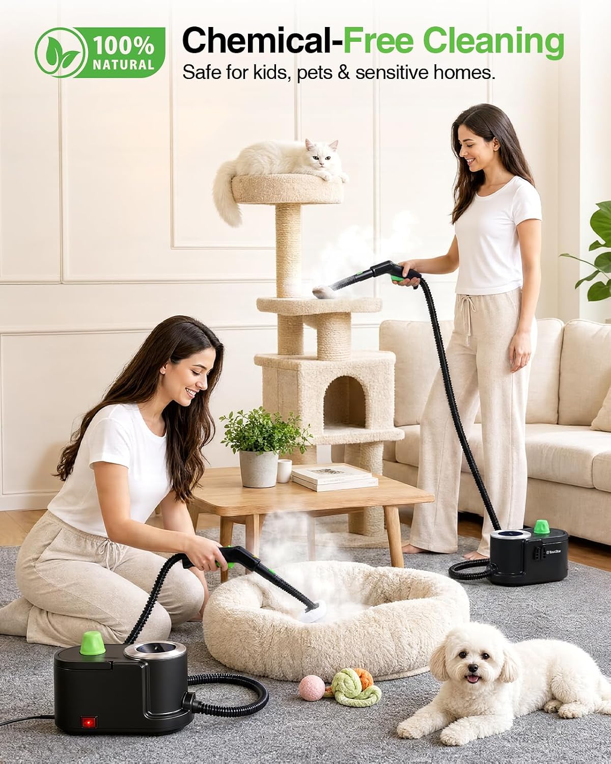 TaskStar High-Temperature Steam Cleaner