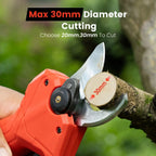 TaskStar 2-in-1 Pole Pruning Shears 21V Cordless Electric Pole Pruners