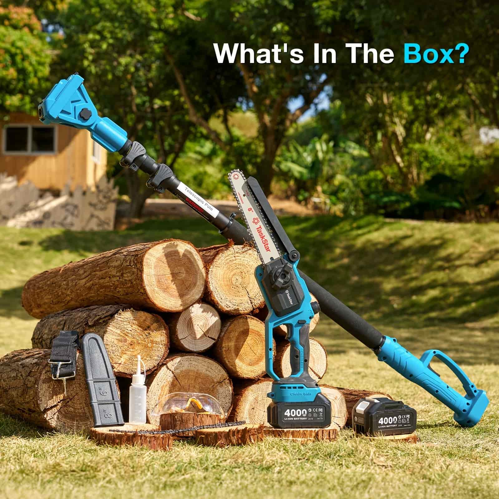 Taskstar 8inch Electric 2-in-1 Cordless Pole Saw & Mini Chainsaw,15FT Max Reach
