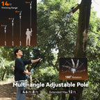 Taskstar 2-in-1 Cordless Pole Saw & 8” Mini Chainsaw Brushless Motor, Auto Lubrication, 2x4.0 Ah Batteries & Charger